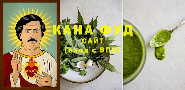 спайс Няндома