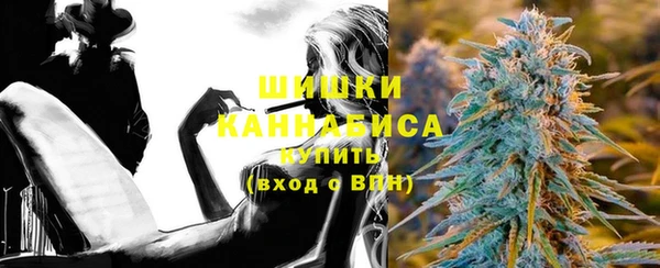 спайс Няндома
