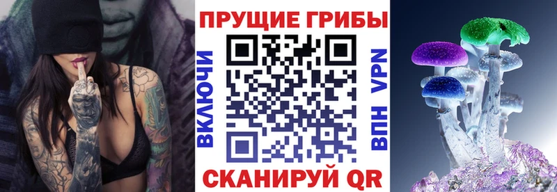 Псилоцибиновые грибы MAGIC MUSHROOMS  что такое   МЕГА маркетплейс  Тосно 